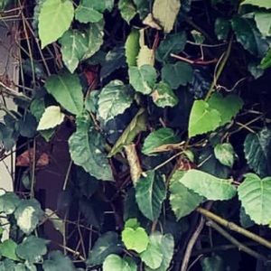 Meet your Posher, Zach